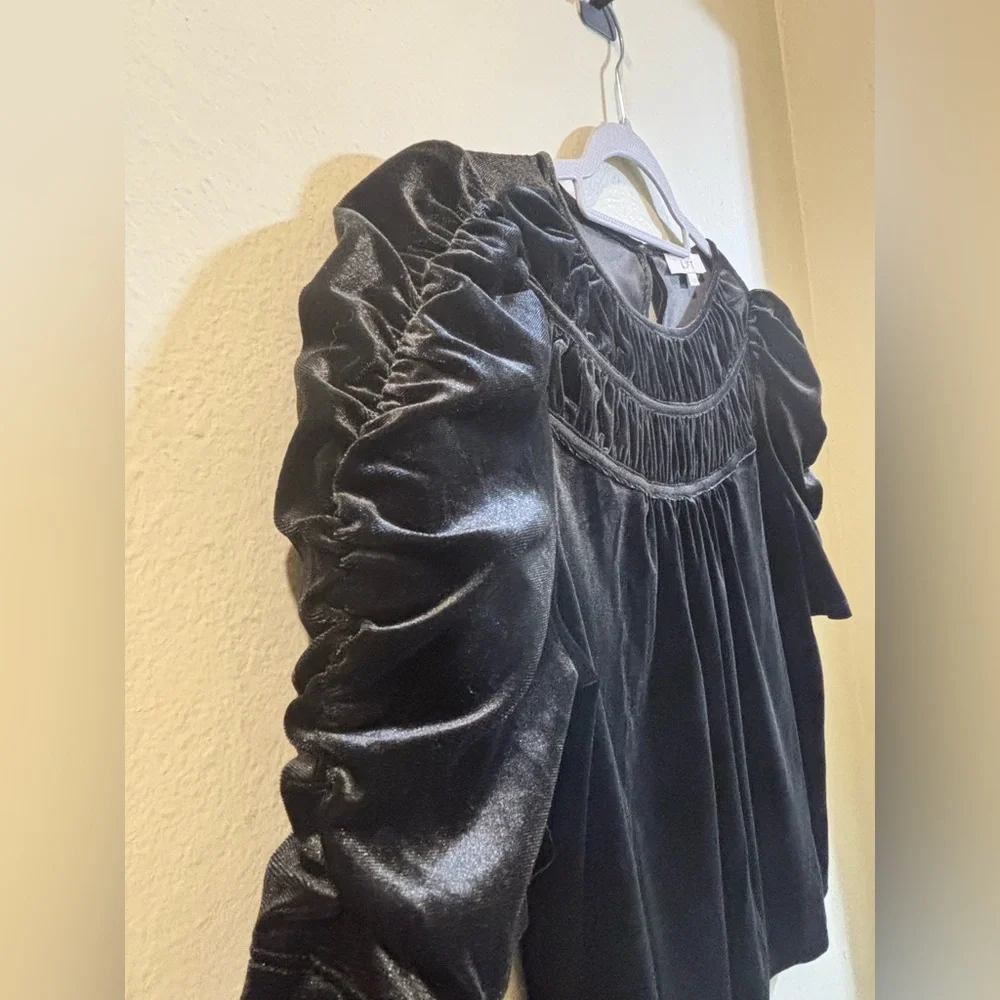 LOFT Ruched Velvet Top - Picture 6 of 8
